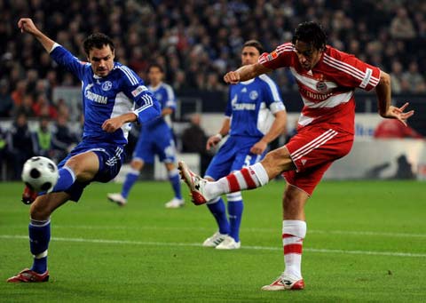 表现也相当 表现也相当